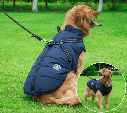 🐕 Waterproof Dog Jacket with Built-In Carrying Straps