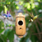 Sale 48% OFF💕Wooden Hummingbird House-Gift for Nature Lovers🔥🔥