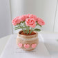 Hand-woven Flower Potted Desktop Ornaments