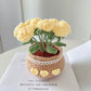Hand-woven Flower Potted Desktop Ornaments
