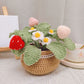 Hand-woven Flower Potted Desktop Ornaments