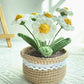 Hand-woven Flower Potted Desktop Ornaments