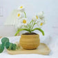 Hand-woven Flower Potted Desktop Ornaments