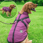 🐕 Waterproof Dog Jacket with Built-In Carrying Straps