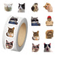 😺500PCS Funny Cat Meme Stickers Roll