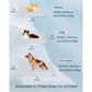 💥LAST DAY SALE 50% OFF💥Dog Cooling Eco-friendly Mat, Cooling Pad