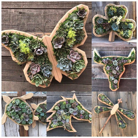 🔥BUY 2 GET 10% OFF💝Animal Succulent Garden Arrangement