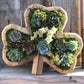 🔥BUY 2 GET 10% OFF💝Animal Succulent Garden Arrangement