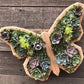 🔥BUY 2 GET 10% OFF💝Animal Succulent Garden Arrangement