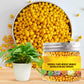 Universal Plants Nutrient Granules Controlled Release Fertilizer