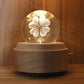 Crystal Ball Rotating Music Box with Projection Lamp