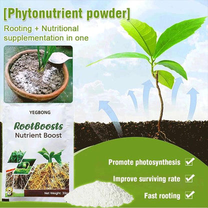 Plant Hair Root Growth Nutrition Powder